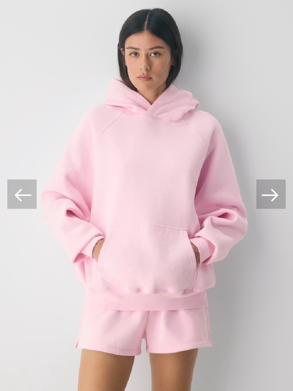 BNWT ARITZIA Sweatfleece Sweater